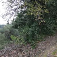 Земельный участок в Греции, Ионические острова