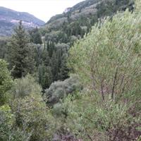 Земельный участок в Греции, Ионические острова