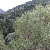 Земельный участок в Греции, Ионические острова