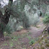 Земельный участок в Греции, Ионические острова