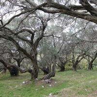 Land plot in Greece, Ionian Islands