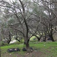 Land plot in Greece, Ionian Islands