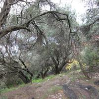 Land plot in Greece, Ionian Islands