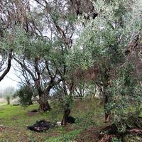 Land plot in Greece, Ionian Islands