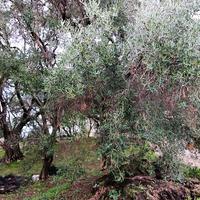 Land plot in Greece, Ionian Islands