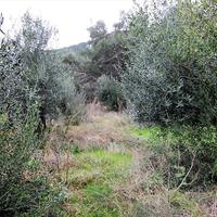 Land plot in Greece, Ionian Islands