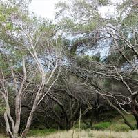 Land plot in Greece, Ionian Islands