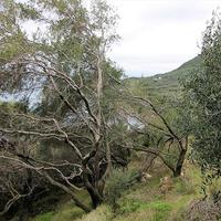 Land plot in Greece, Ionian Islands