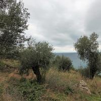 Land plot in Greece, Ionian Islands
