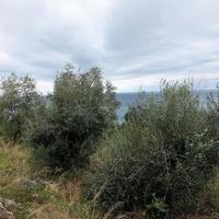 Land plot in Greece, Ionian Islands