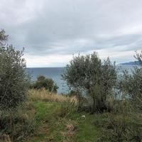 Land plot in Greece, Ionian Islands