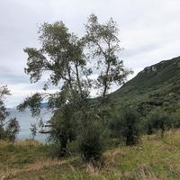 Land plot in Greece, Ionian Islands