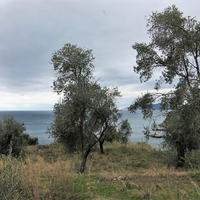 Land plot in Greece, Ionian Islands