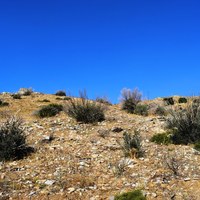 Land plot in Greece, Crete
