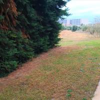 Flat in Greece, Central Macedonia, Center, 55 sq.m.