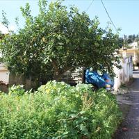 Other in Greece, Crete, Chania, 80 sq.m.