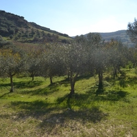 Земельный участок в Греции, Крит, Ираклион