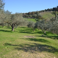 Земельный участок в Греции, Крит, Ираклион