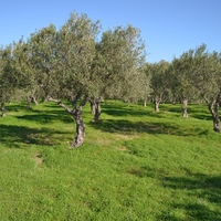 Земельный участок в Греции, Крит, Ираклион