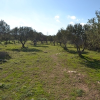 Земельный участок в Греции, Крит, Ираклион