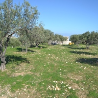 Земельный участок в Греции, Крит, Ираклион