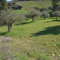 Земельный участок в Греции, Крит, Ираклион