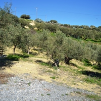 Other in Greece, Crete, Irakleion, 152 sq.m.