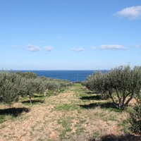 Земельный участок в Греции, Крит