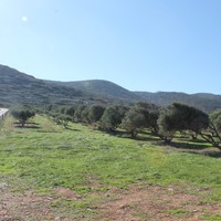 Земельный участок в Греции, Крит