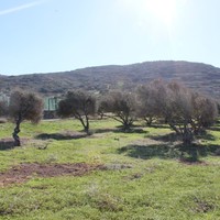 Земельный участок в Греции, Крит