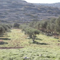 Земельный участок в Греции, Крит