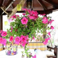 Другое в Греции, 80 кв.м.