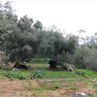 Land plot in Greece, Ionian Islands