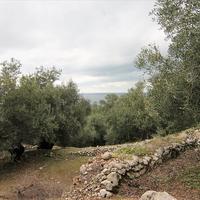 Land plot in Greece, Ionian Islands