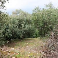 Land plot in Greece, Ionian Islands