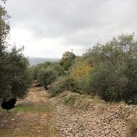 Land plot in Greece, Ionian Islands