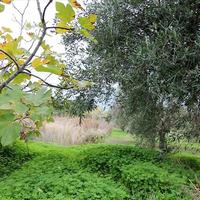 Земельный участок в Греции, Ионические острова