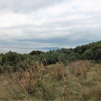 Земельный участок в Греции, Ионические острова