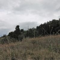 Земельный участок в Греции, Ионические острова