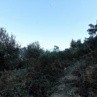 Земельный участок в Греции, Ионические острова