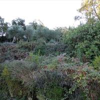 Земельный участок в Греции, Ионические острова