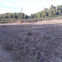 Land plot in Greece, Central Macedonia, Center