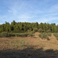 Land plot in Greece, Central Macedonia, Center