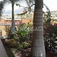 Apartment in Spain, Canary Islands, Santa Cruz de Tenerife, 519 sq.m.