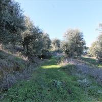 Земельный участок в Греции, Ионические острова