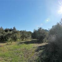 Земельный участок в Греции, Ионические острова