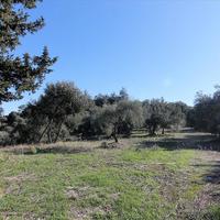 Земельный участок в Греции, Ионические острова