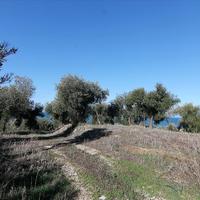 Земельный участок в Греции, Ионические острова