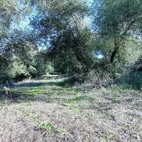 Земельный участок в Греции, Ионические острова