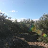 Земельный участок в Греции, Ионические острова